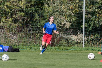 Bild 47 - wBJ HSV - SV Meppen : Ergebnis: 0:2